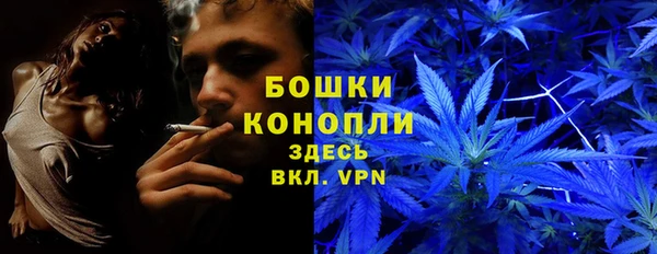 Альфа ПВП Ладушкин