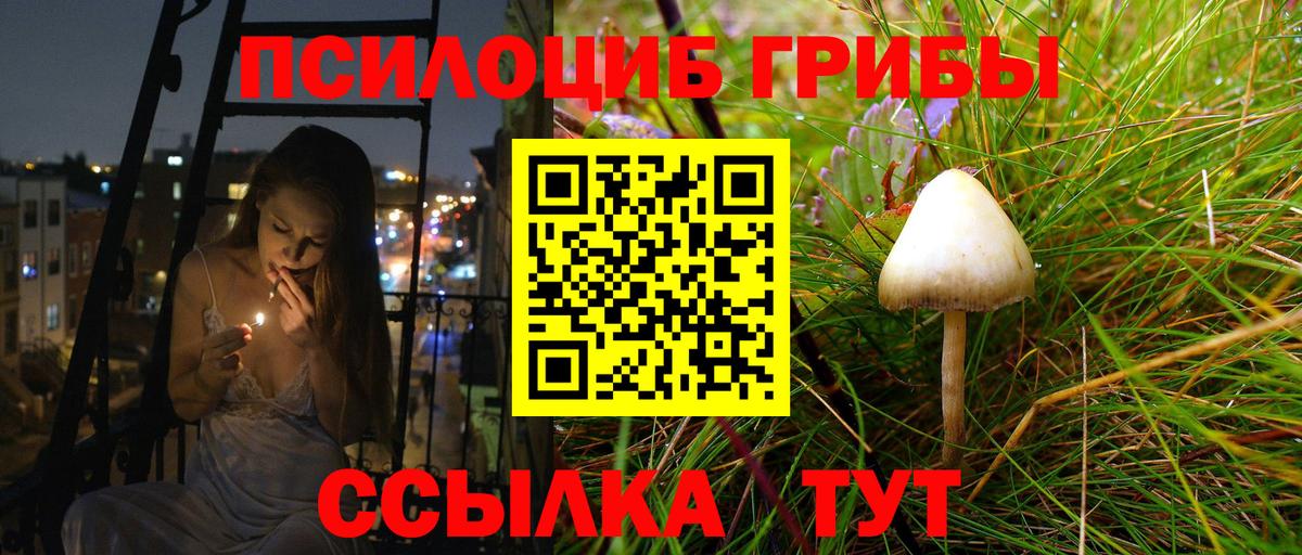 Галлюциногенные грибы прущие грибы Углич